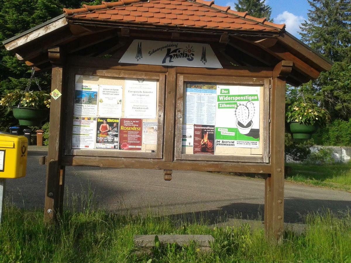 Ferienwohnung Rita Freudenstadt Zewnętrze zdjęcie